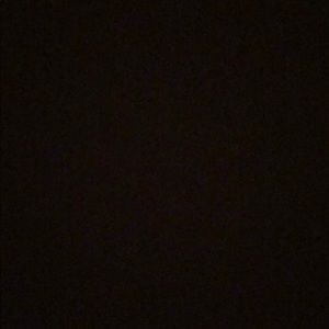 Meet your Posher, Bernadette